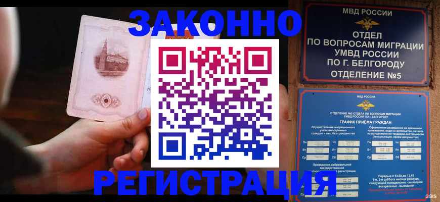 прописка 2025 в Новоаннинском